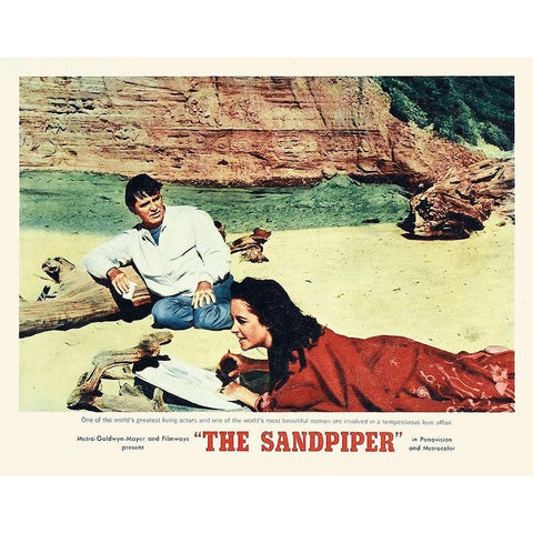 Elizabeth Taylor - Sandpiper - Lobby Card Black Modern Wood Framed Art Print with Double Matting by Hollywood Photo Archive