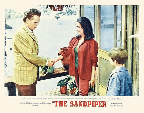 Elizabeth Taylor - Sandpiper - Lobby Card White Modern Wood Framed Art Print with Double Matting by Hollywood Photo Archive