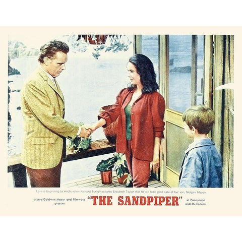 Elizabeth Taylor - Sandpiper - Lobby Card Black Modern Wood Framed Art Print with Double Matting by Hollywood Photo Archive