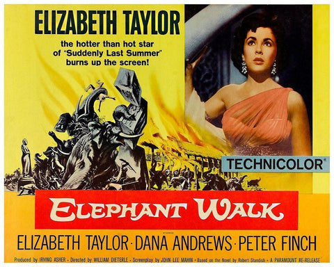 Elephant Walk - Elizabeth Taylor Black Ornate Wood Framed Art Print with Double Matting by Hollywood Photo Archive