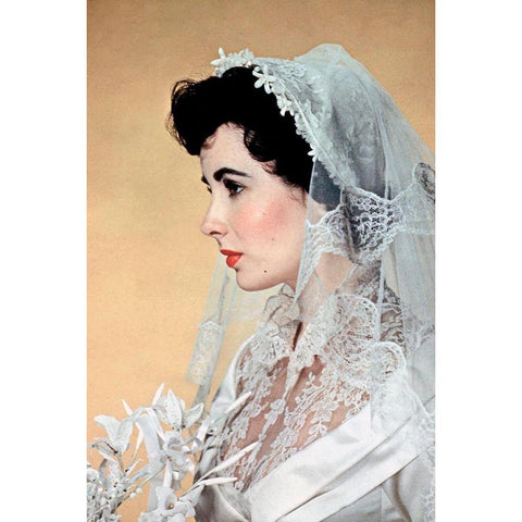 Elizabeth Taylor - Father of the Bride Wedding Dress Black Modern Wood Framed Art Print with Double Matting by Hollywood Photo Archive