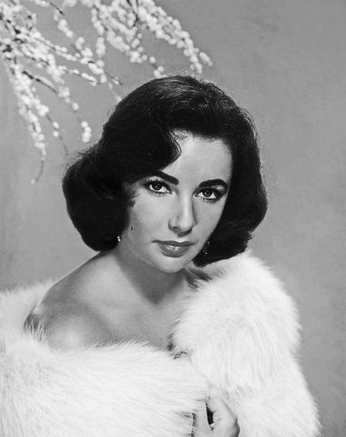 Elizabeth Taylor Black Ornate Wood Framed Art Print with Double Matting by Hollywood Photo Archive