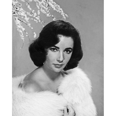 Elizabeth Taylor White Modern Wood Framed Art Print by Hollywood Photo Archive