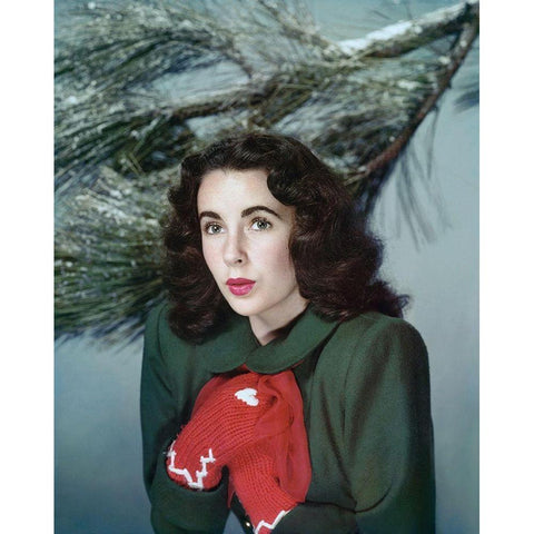 Elizabeth Taylor Black Modern Wood Framed Art Print with Double Matting by Hollywood Photo Archive