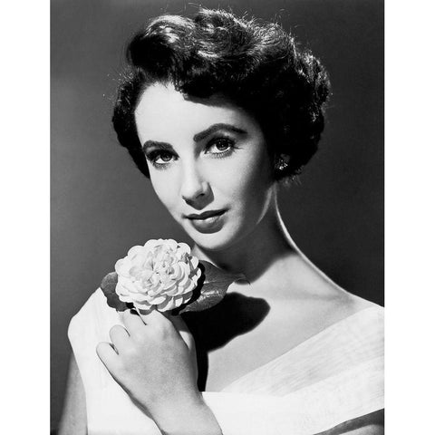 Elizabeth Taylor Black Modern Wood Framed Art Print with Double Matting by Hollywood Photo Archive