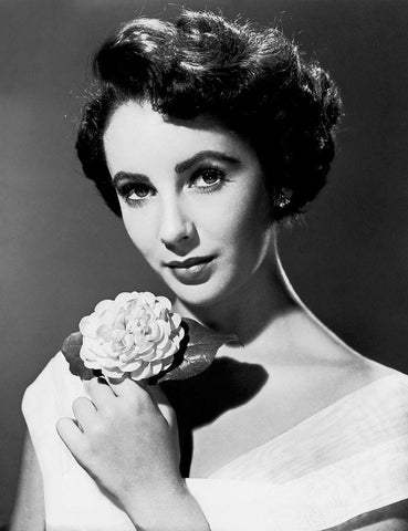 Elizabeth Taylor Black Ornate Wood Framed Art Print with Double Matting by Hollywood Photo Archive