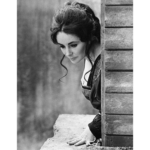 Elizabeth Taylor White Modern Wood Framed Art Print by Hollywood Photo Archive