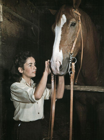 National Velvet - Elizabeth Taylor Black Ornate Wood Framed Art Print with Double Matting by Hollywood Photo Archive