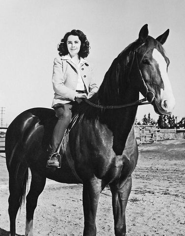 National Velvet - Elizabeth Taylor White Modern Wood Framed Art Print with Double Matting by Hollywood Photo Archive