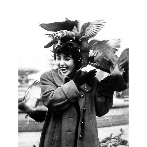 Elizabeth Taylor with pigeons White Modern Wood Framed Art Print by Hollywood Photo Archive