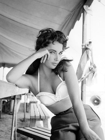 Elizabeth Taylor White Modern Wood Framed Art Print with Double Matting by Hollywood Photo Archive