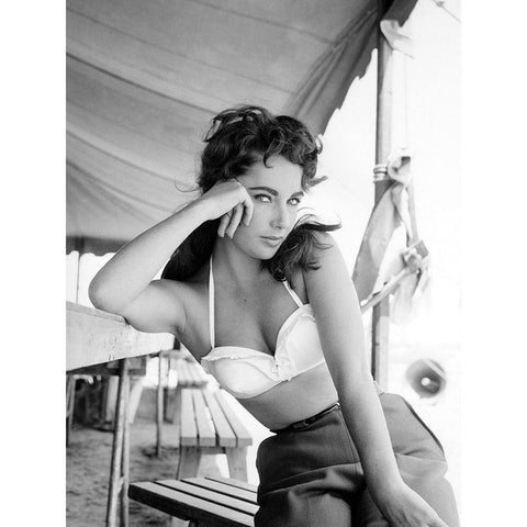 Elizabeth Taylor Black Modern Wood Framed Art Print with Double Matting by Hollywood Photo Archive