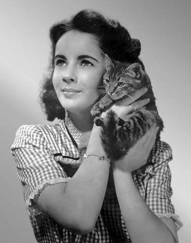 Elizabeth Taylor with kitten Black Ornate Wood Framed Art Print with Double Matting by Hollywood Photo Archive