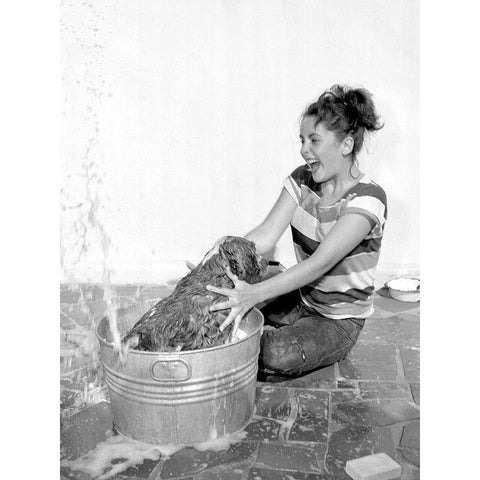 Elizabeth Taylor washing a dog White Modern Wood Framed Art Print by Hollywood Photo Archive