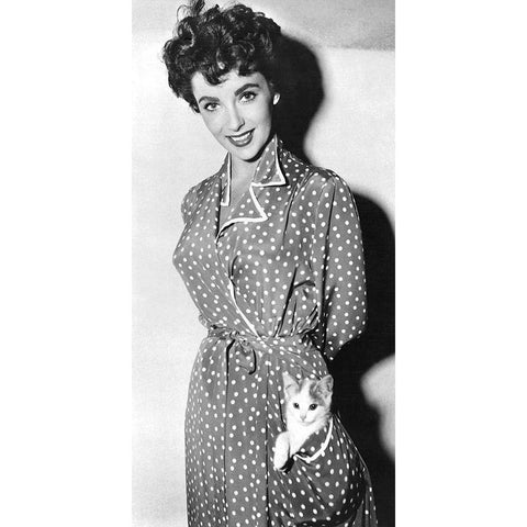 Elizabeth Taylor with a kitten in her pocket Black Modern Wood Framed Art Print with Double Matting by Hollywood Photo Archive