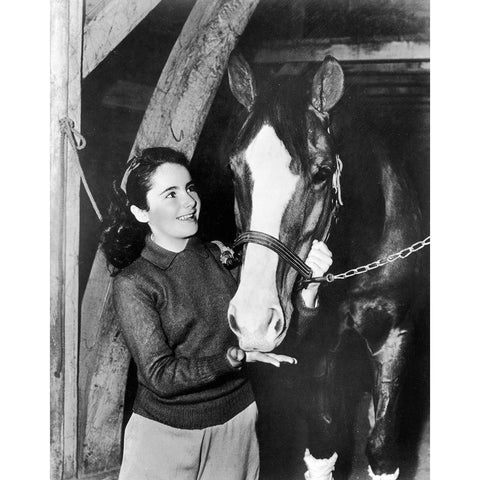 National Velvet - Elizabeth Taylor Black Modern Wood Framed Art Print with Double Matting by Hollywood Photo Archive