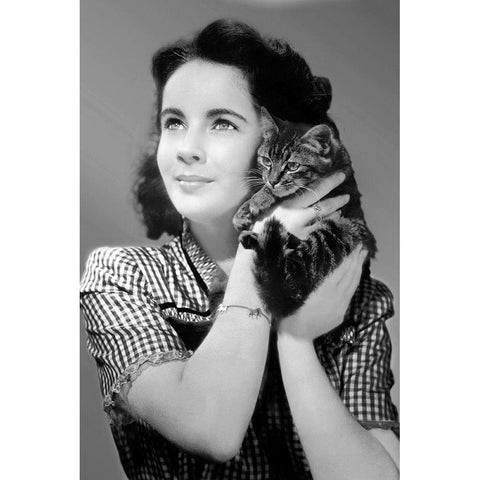 Elizabeth Taylor with a kitten Black Modern Wood Framed Art Print with Double Matting by Hollywood Photo Archive