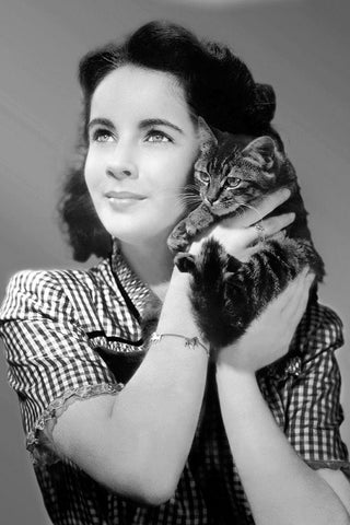 Elizabeth Taylor with a kitten Black Ornate Wood Framed Art Print with Double Matting by Hollywood Photo Archive