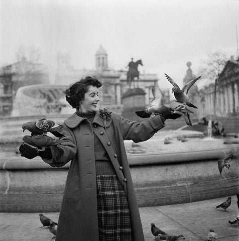 Elizabeth Taylor with pigeons White Modern Wood Framed Art Print with Double Matting by Hollywood Photo Archive