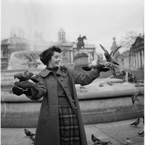 Elizabeth Taylor with pigeons Black Modern Wood Framed Art Print with Double Matting by Hollywood Photo Archive