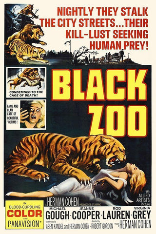 Black Zoo White Modern Wood Framed Art Print with Double Matting by Hollywood Photo Archive