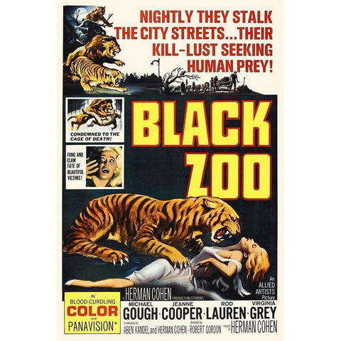 Black Zoo Black Modern Wood Framed Art Print with Double Matting by Hollywood Photo Archive