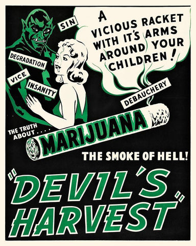 The Devils Harvest - The Truth About Marijuana...The Smoke of Hell White Modern Wood Framed Art Print with Double Matting by Hollywood Photo Archive