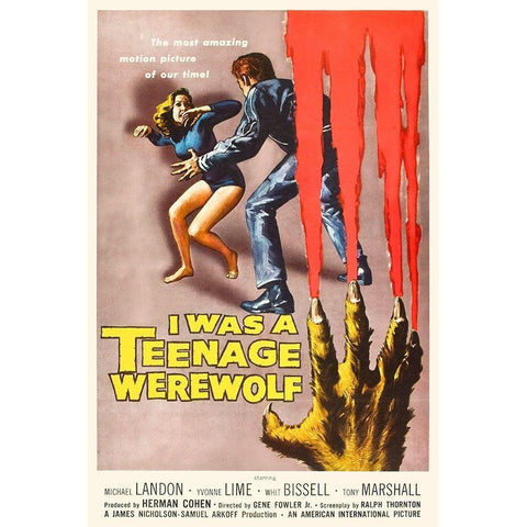 I Was A Teenage Werewolf Black Modern Wood Framed Art Print with Double Matting by Hollywood Photo Archive