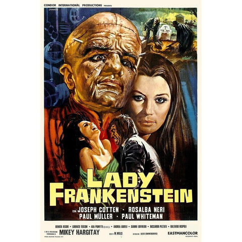 Lady Frankenstein Black Modern Wood Framed Art Print with Double Matting by Hollywood Photo Archive