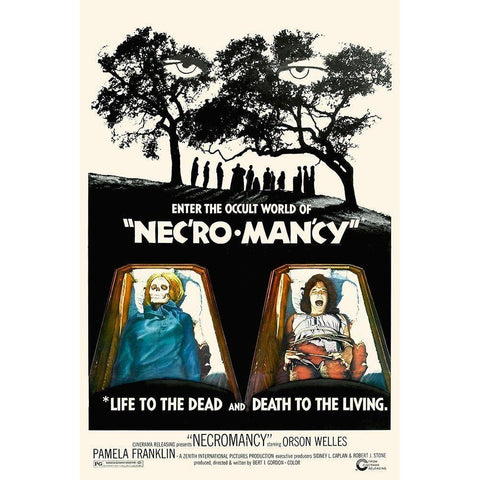 Necromancy White Modern Wood Framed Art Print by Hollywood Photo Archive