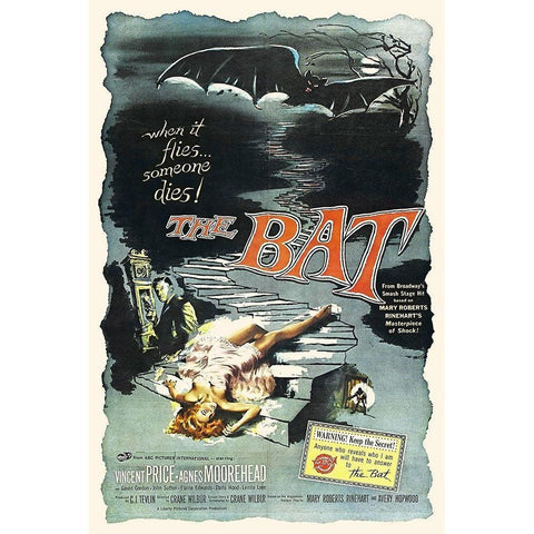 The Bat Black Modern Wood Framed Art Print with Double Matting by Hollywood Photo Archive