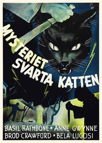 Swedish - The Black Cat White Modern Wood Framed Art Print with Double Matting by Hollywood Photo Archive