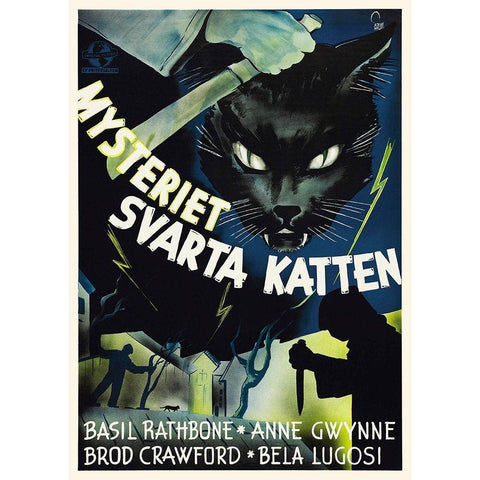 Swedish - The Black Cat White Modern Wood Framed Art Print by Hollywood Photo Archive