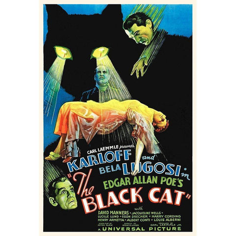 The Black Cat White Modern Wood Framed Art Print by Hollywood Photo Archive