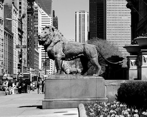 Edward Kemeys guardian lions stand before the Art Institute of Chicago Illinois Black Ornate Wood Framed Art Print with Double Matting by Highsmith, Carol