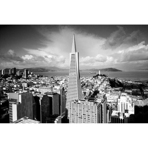 Transamerica Tower San Francisco California Gold Ornate Wood Framed Art Print with Double Matting by Highsmith, Carol