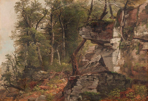 Trees on a Rocky Hillside Black Ornate Wood Framed Art Print with Double Matting by Durand, Asher Brown