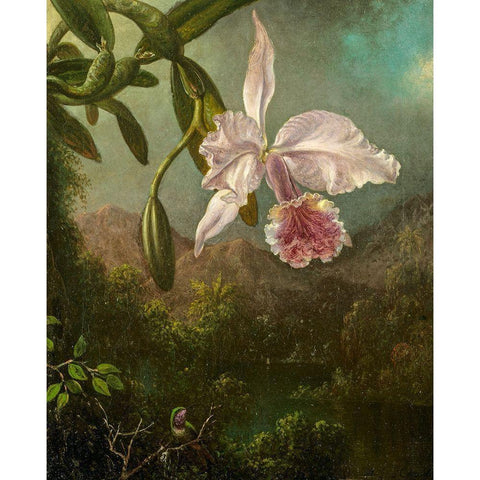 Orchid Blossoms Black Modern Wood Framed Art Print by Heade, Martin Johnson