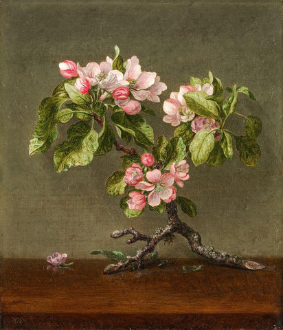 Apple Blossoms Black Ornate Wood Framed Art Print with Double Matting by Heade, Martin Johnson