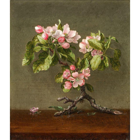 Apple Blossoms Black Modern Wood Framed Art Print by Heade, Martin Johnson