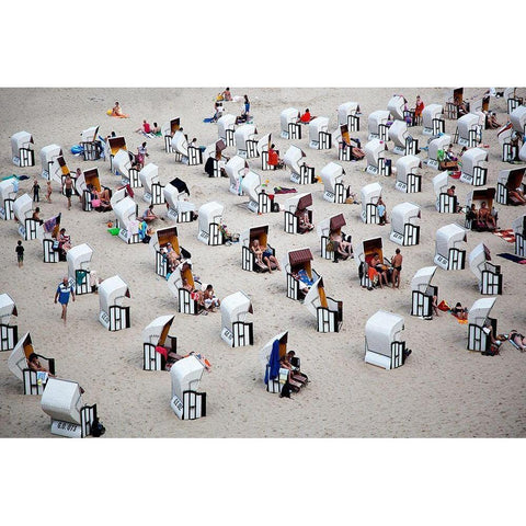 L Alveare Black Modern Wood Framed Art Print by Latta, Massimo Della