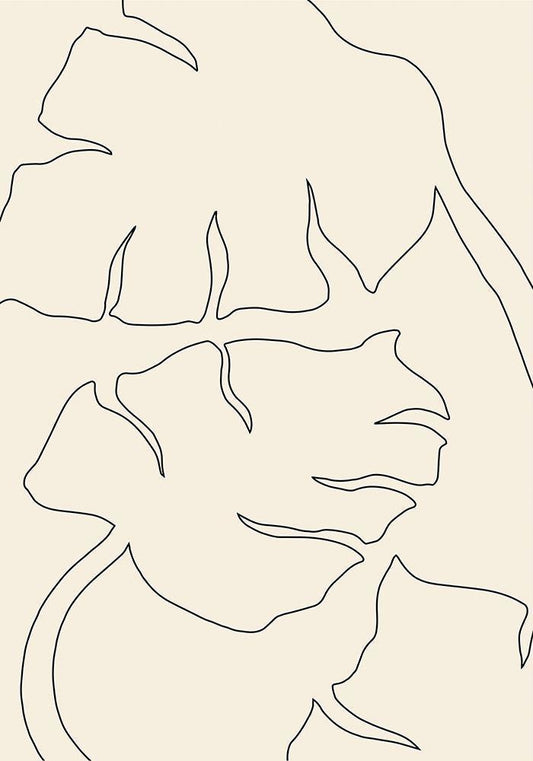 Image Only
