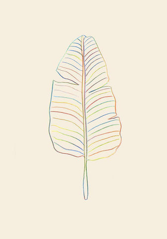 Banana Rainbow Leaf Black Ornate Wood Framed Art Print with Double Matting by Uppsala Studio