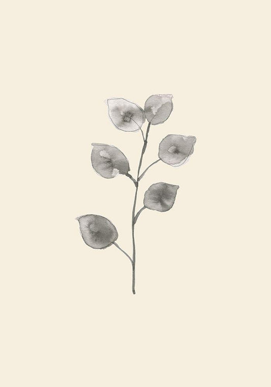 Image Only