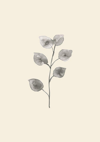 Eucalyptus Twig White Modern Wood Framed Art Print with Double Matting by Uppsala Studio