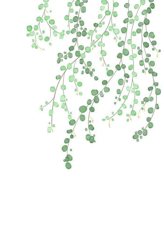 Birch Tree White Modern Wood Framed Art Print with Double Matting by Uppsala Studio