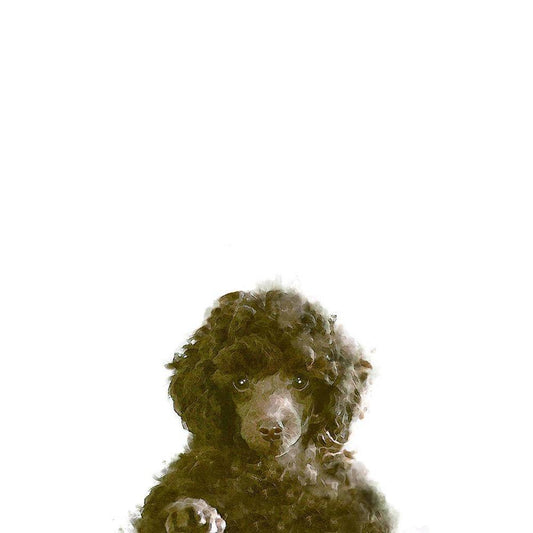 Image Only