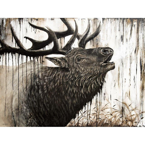 Bugling Bull Elk   Black Modern Wood Framed Art Print with Double Matting by Bawden, Angela