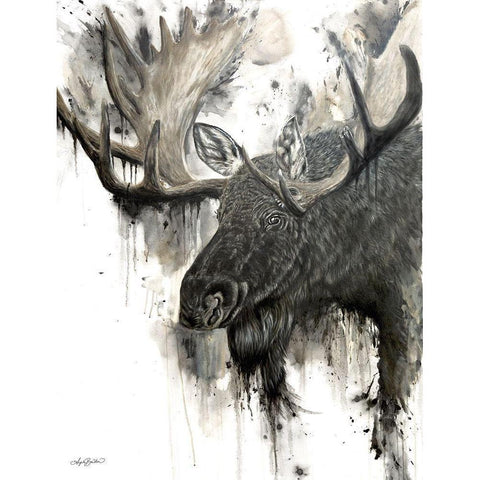 Bull Moose    Black Modern Wood Framed Art Print by Bawden, Angela