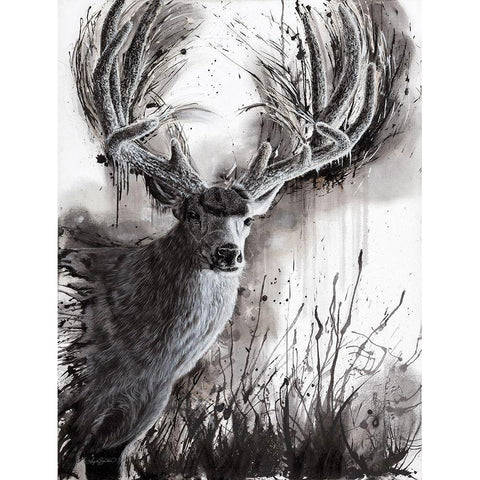 Paunsaugunt Prince    White Modern Wood Framed Art Print by Bawden, Angela